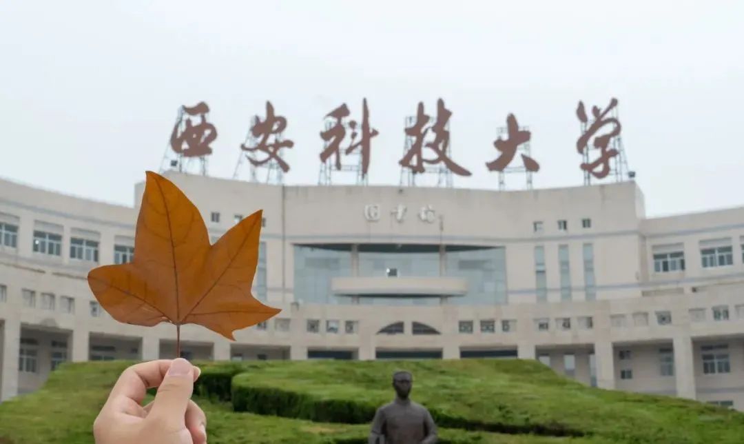 收好这份西安及周边旅游观赏桂地图→桂花终于“想开了”! 第24张