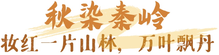 西安周边娱乐旅游:秦岭有这么美的地方不早说?西安人嘴真严! 第5张