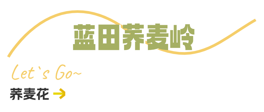 西安周边旅游休闲放松推荐：这些赏秋地错过等一年！“含秋量”爆棚！-第56张图片