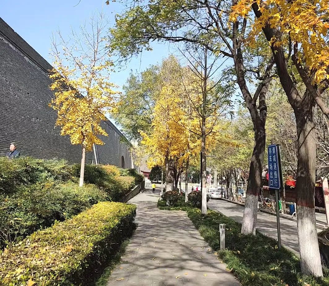 一雨深秋,西安的斑斓画卷——西安秋景分享旅游放松 第2张