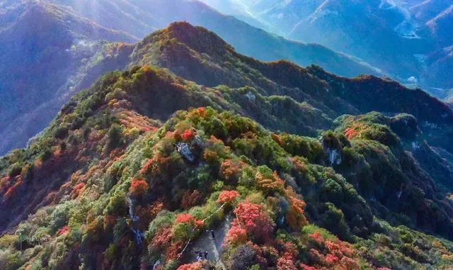 免费！！西安最美赏红叶景点走红，被称为“西安的香山”-第3张图片