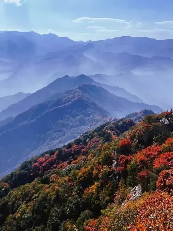 免费！！西安最美赏红叶景点走红，被称为“西安的香山”-第7张图片