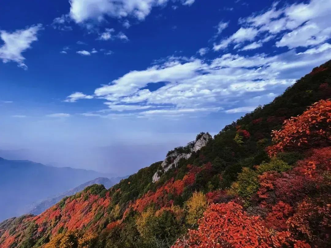 免费！！西安最美赏红叶景点走红，被称为“西安的香山”-第6张图片
