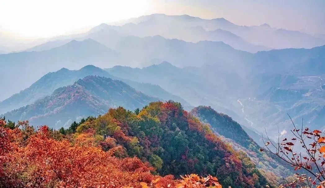 免费！！西安最美赏红叶景点走红，被称为“西安的香山”-第4张图片