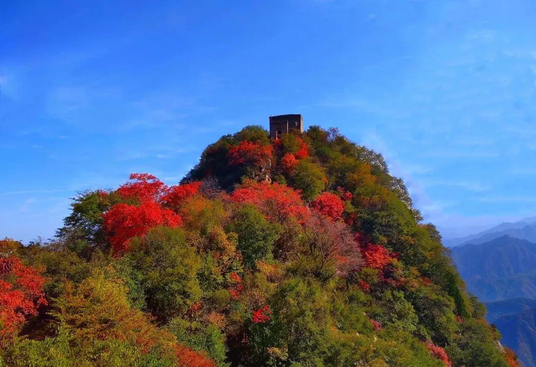 免费！！西安最美赏红叶景点走红，被称为“西安的香山”-第9张图片