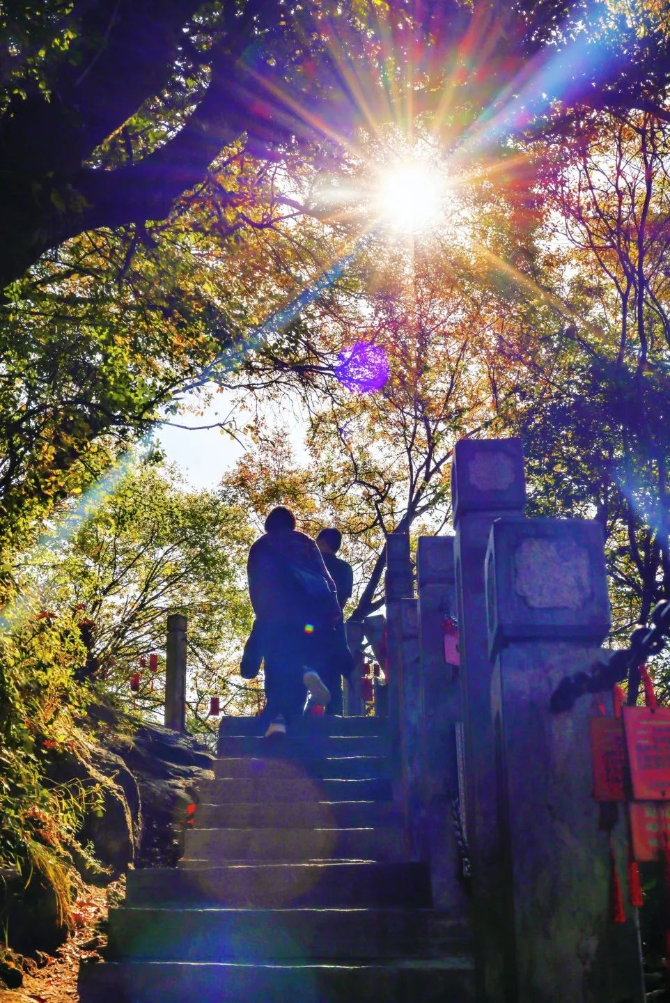 堪称现实版“云顶天宫”,赏红叶、观云海,拍照超美!西安新晋4A景点走红 第25张