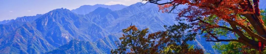 堪称现实版“云顶天宫”,赏红叶、观云海,拍照超美!西安新晋4A景点走红 第33张