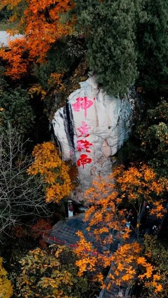 堪称现实版“云顶天宫”,赏红叶、观云海,拍照超美!西安新晋4A景点走红 第37张