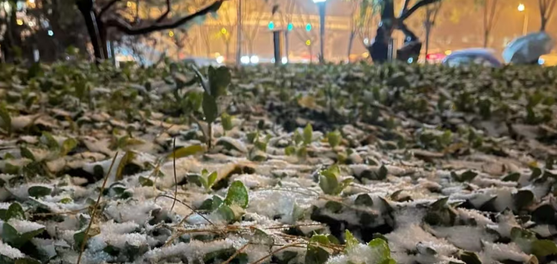 西安雨雨雨、中到大雪!禁止通行!大范围雨雪马上来!陕西紧急预警! 第6张