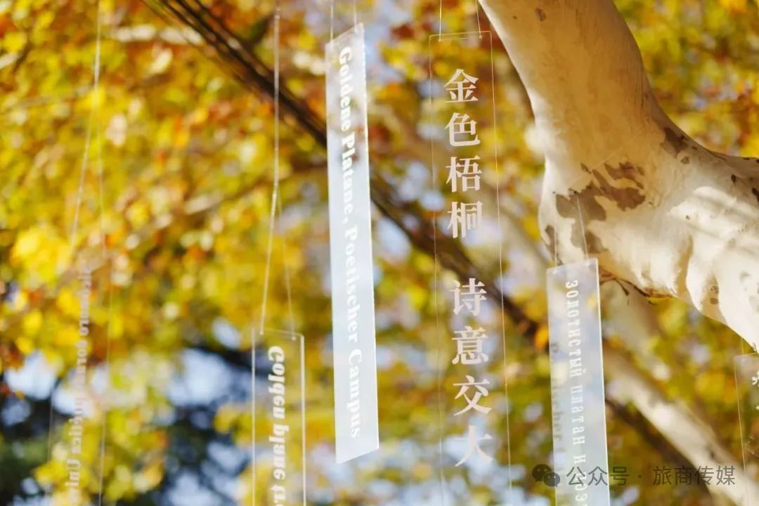 初冬9个免费又好玩打卡宝藏地~~西安周末一日游 第5张