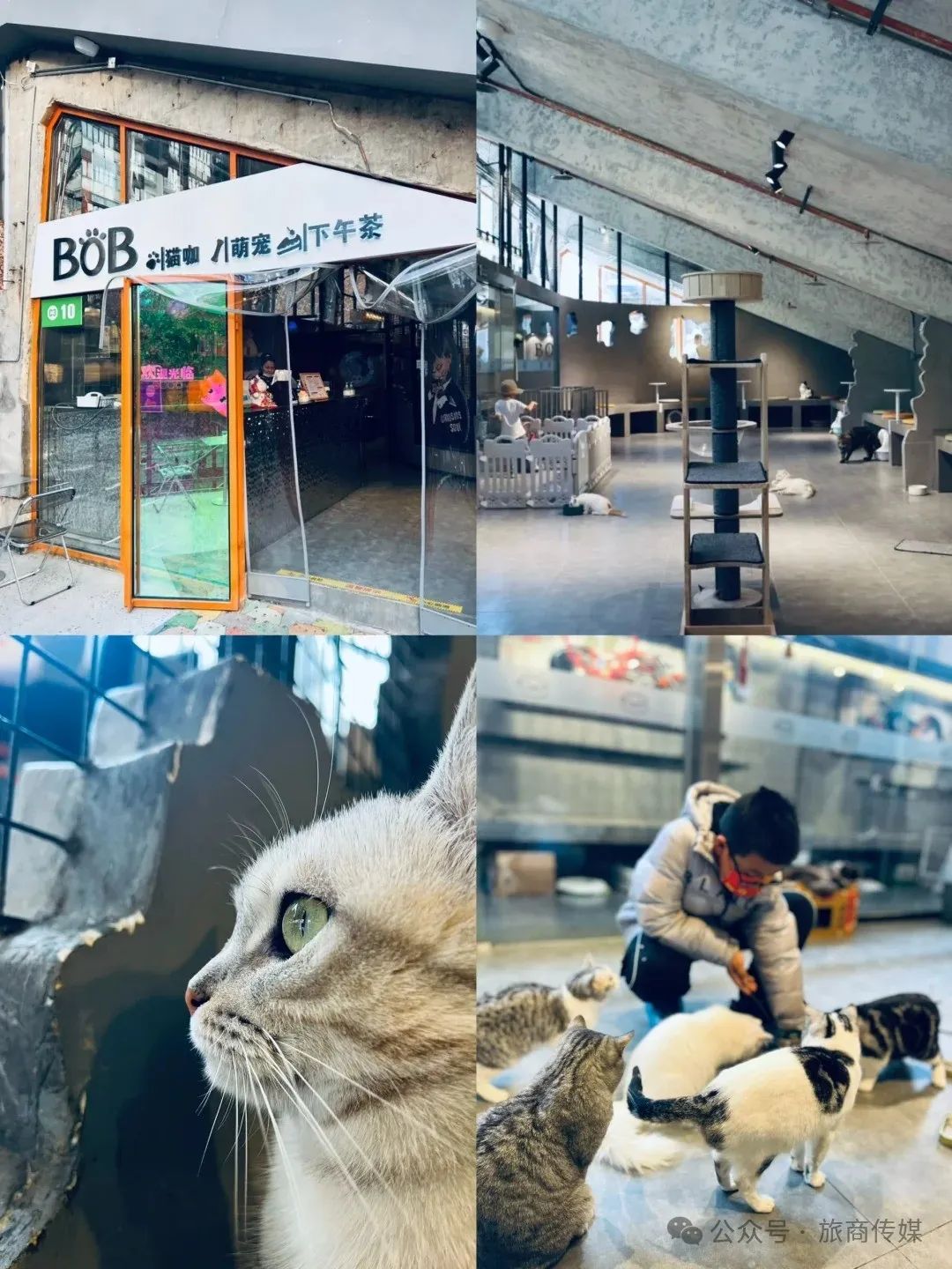 初冬9个免费又好玩打卡宝藏地~~西安周末一日游 第10张
