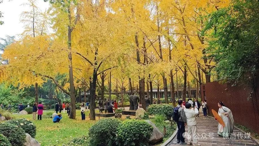 初冬9个免费又好玩打卡宝藏地~~西安周末一日游 第18张