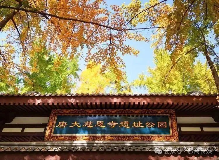初冬9个免费又好玩打卡宝藏地~~西安周末一日游 第16张