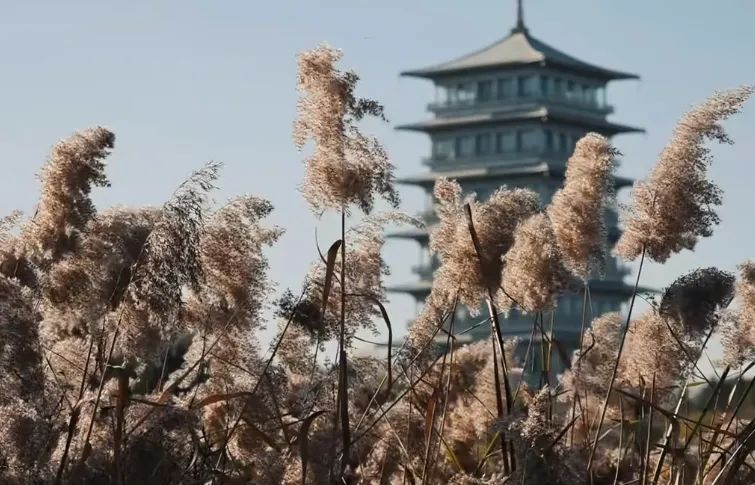 西安冬日夜娱美图出片圣地,这几个地方简直太完美了 第13张