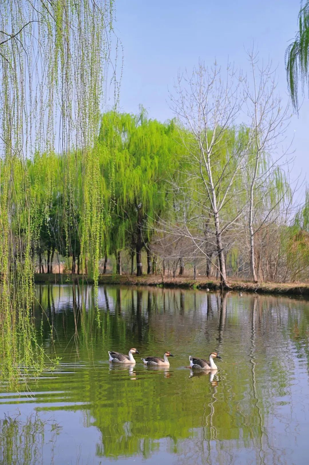 西安4个吸氧好地方!西安夜娱美景放松全部免费! 第4张