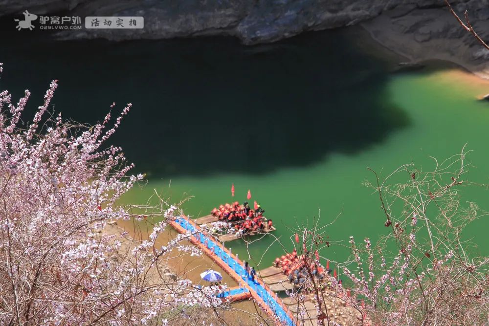 带上相机，穿上美丽的裙子，西安周边“赏花攻略”，春日私藏地-第2张图片