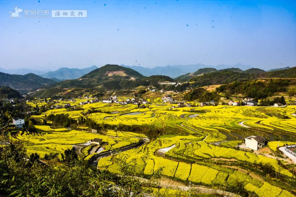 带上相机，穿上美丽的裙子，西安周边“赏花攻略”，春日私藏地-第10张图片