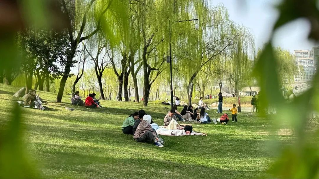 西安春天要去哪里娱乐？小寨逛吃→曲江池赏花→大悦城夜游一条龙-第7张图片