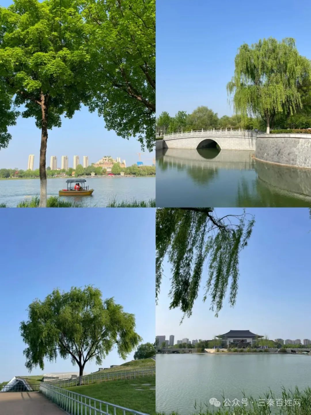 西安娱乐春天要去哪里看花？这十个公园就够了-第7张图片