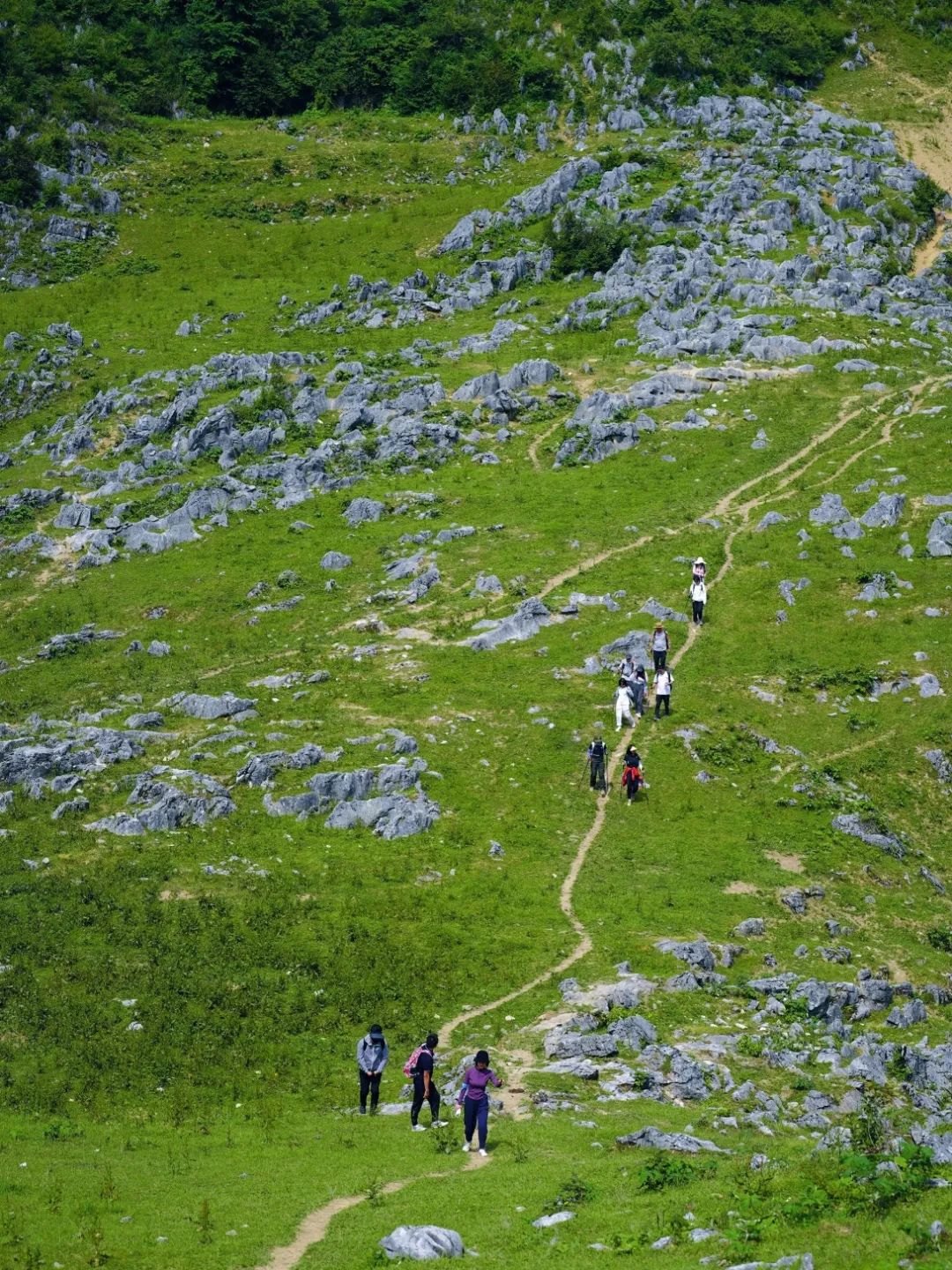 天气逐渐炎热,在山野间寻找自在清凉!西安周边娱乐一日游 第41张
