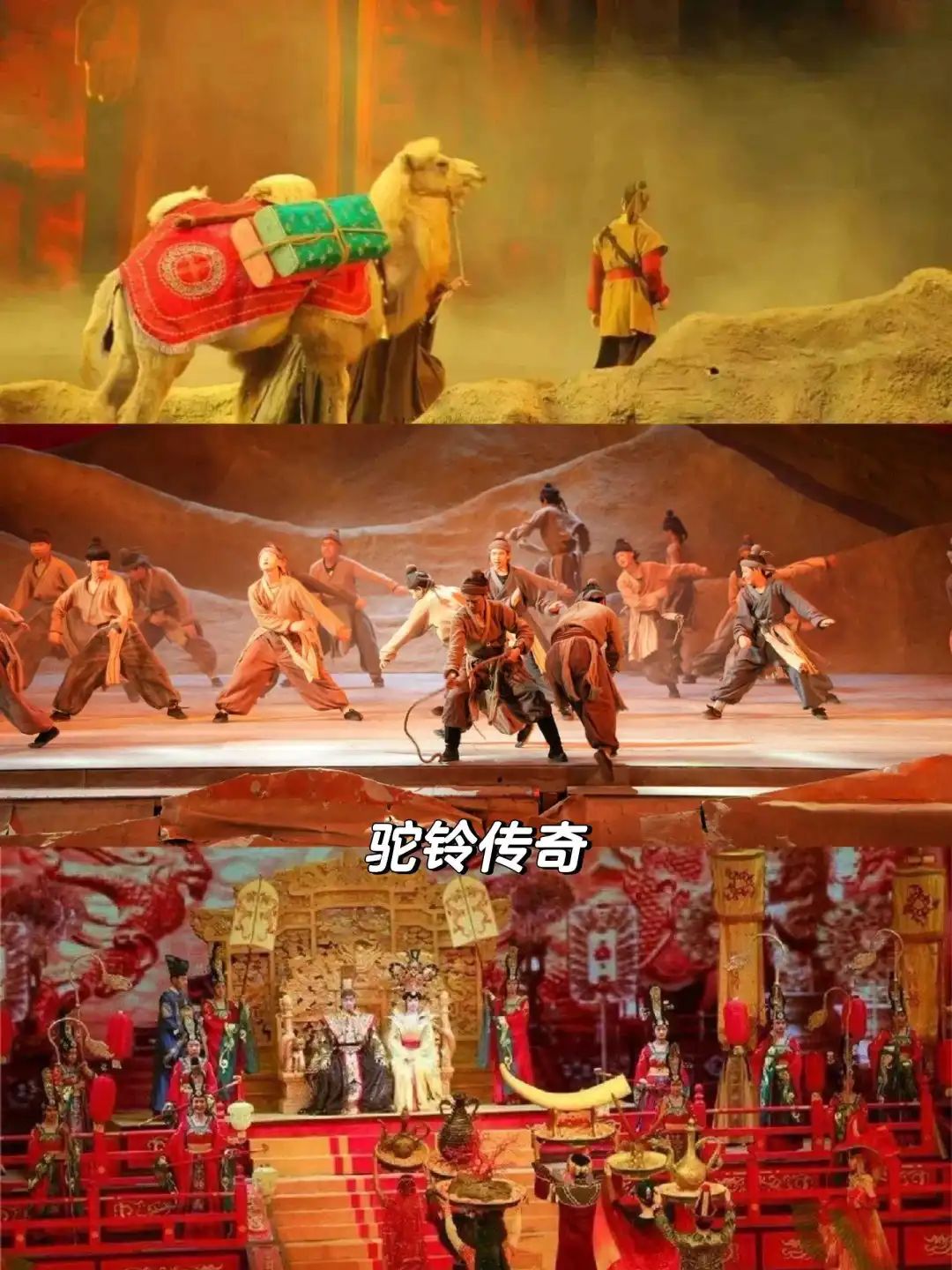 第3个能玩水又能看狼群,假期必刷!五一带娃必去的西安8大娱乐主题乐园! 第5张