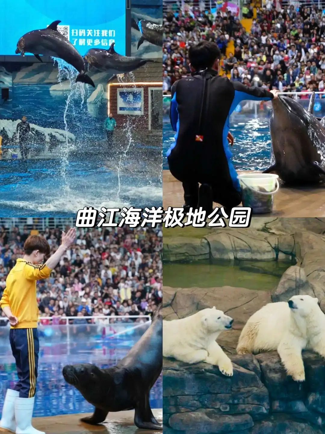 第3个能玩水又能看狼群,假期必刷!五一带娃必去的西安8大娱乐主题乐园! 第8张