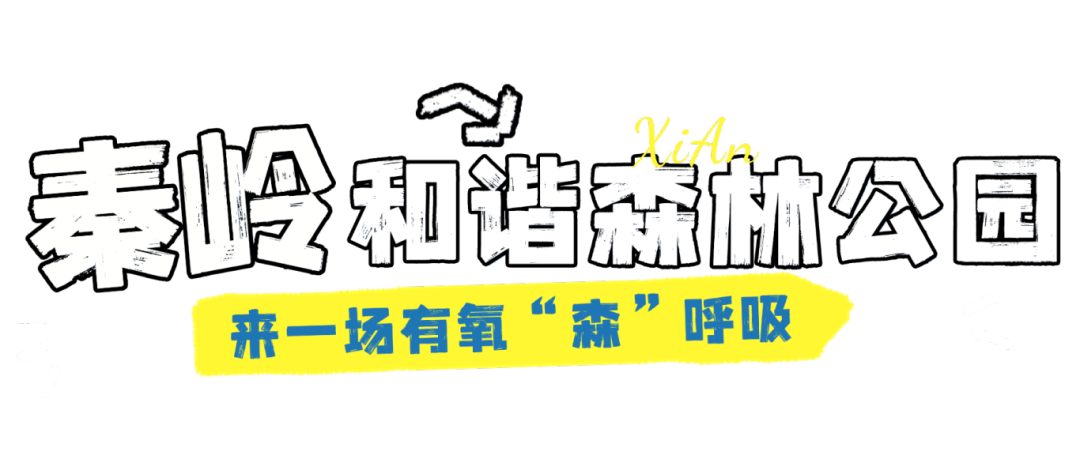 西安周边这5个宝藏公园带娃走起！西安免费娱乐公园-第1张图片