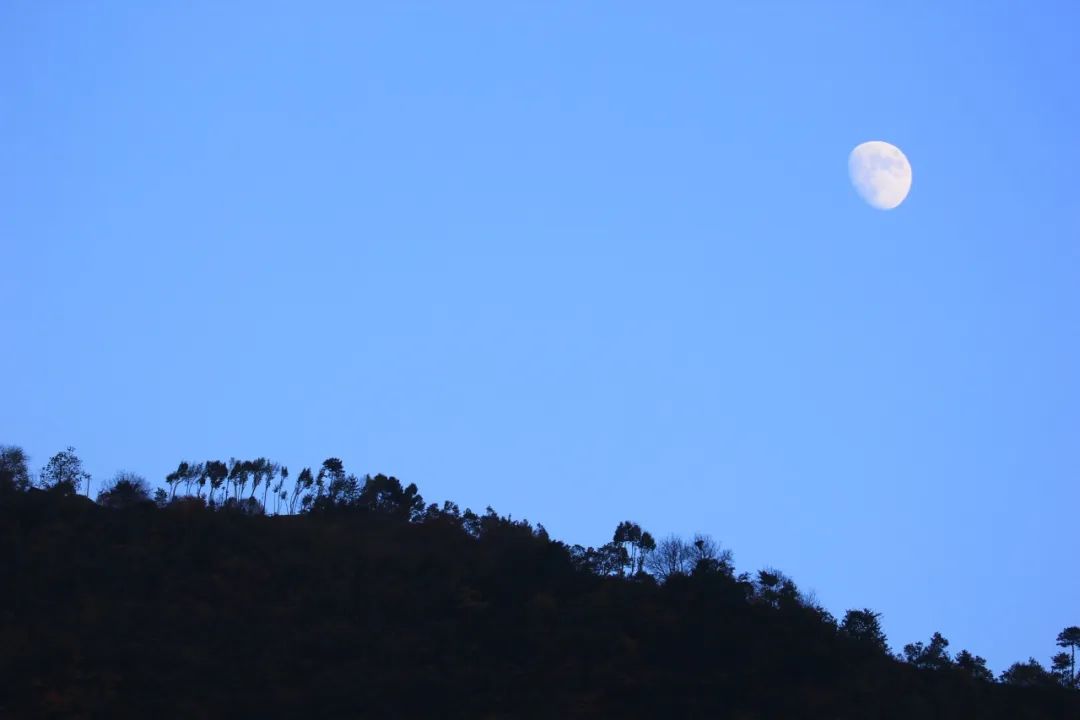 一起逃离炎热的夏天!西安周末纳凉娱乐放松好去处→避开人从众 第24张