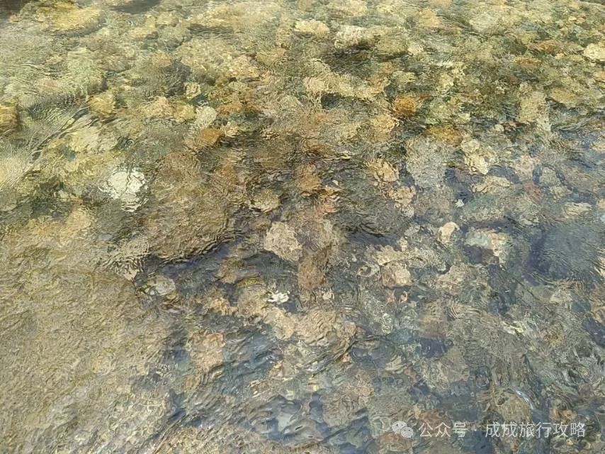 秦岭七十二峪之汤峪河!西安周边玩水,夏天纳凉好去处 第3张