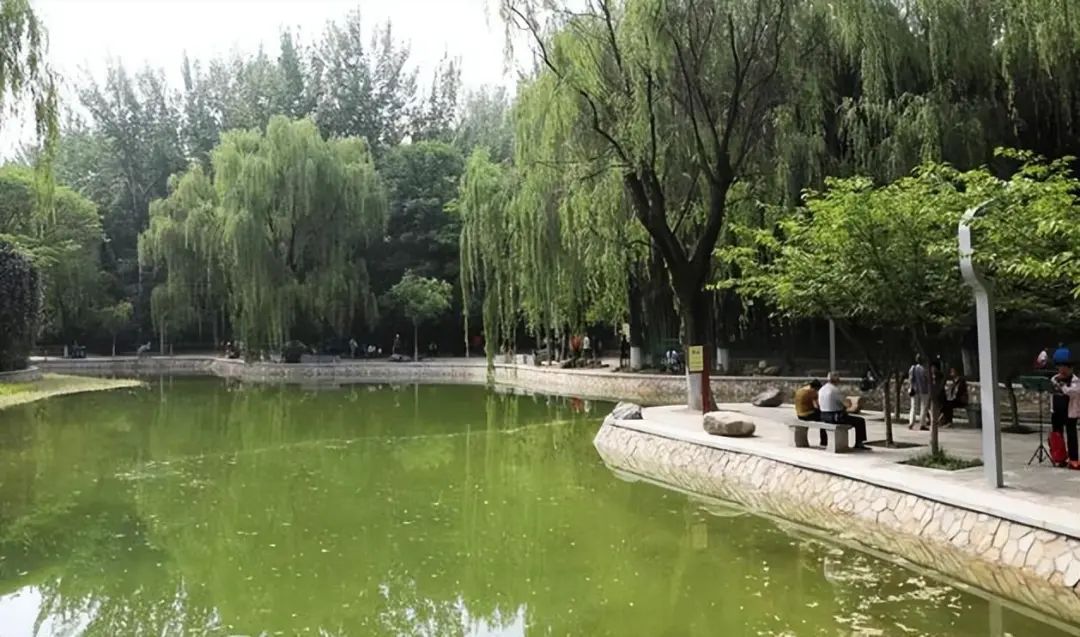 “遛娃散心”公园,环境优美,不输兴庆宫公园!西安放松娱乐休闲,地体直达 第5张