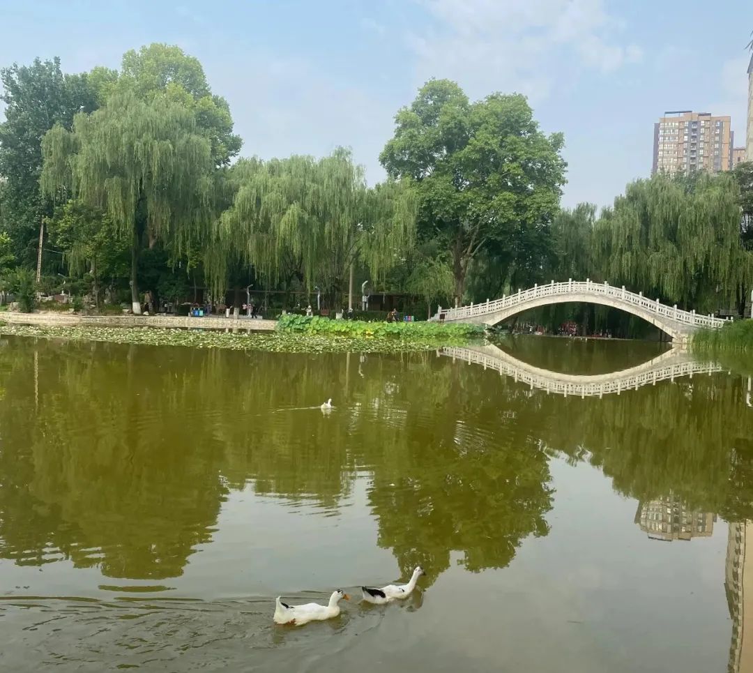 “遛娃散心”公园,环境优美,不输兴庆宫公园!西安放松娱乐休闲,地体直达 第6张